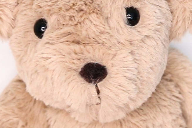 How to make a teddy bear